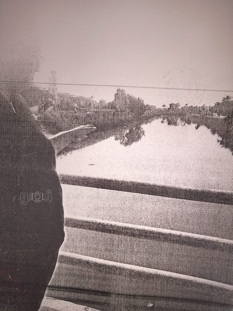 نص تحقيقات النيابة في قضية مقتل المذيعة شيماء جمال (26)