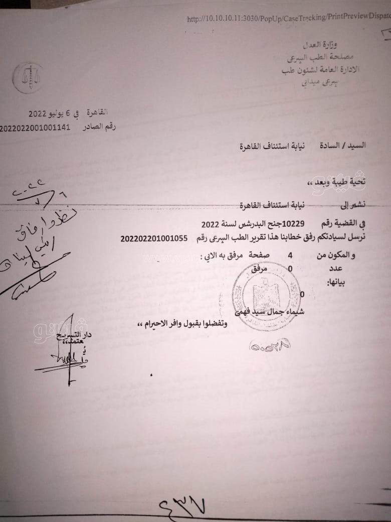 نص تحقيقات النيابة في قضية مقتل المذيعة شيماء جمال (30)