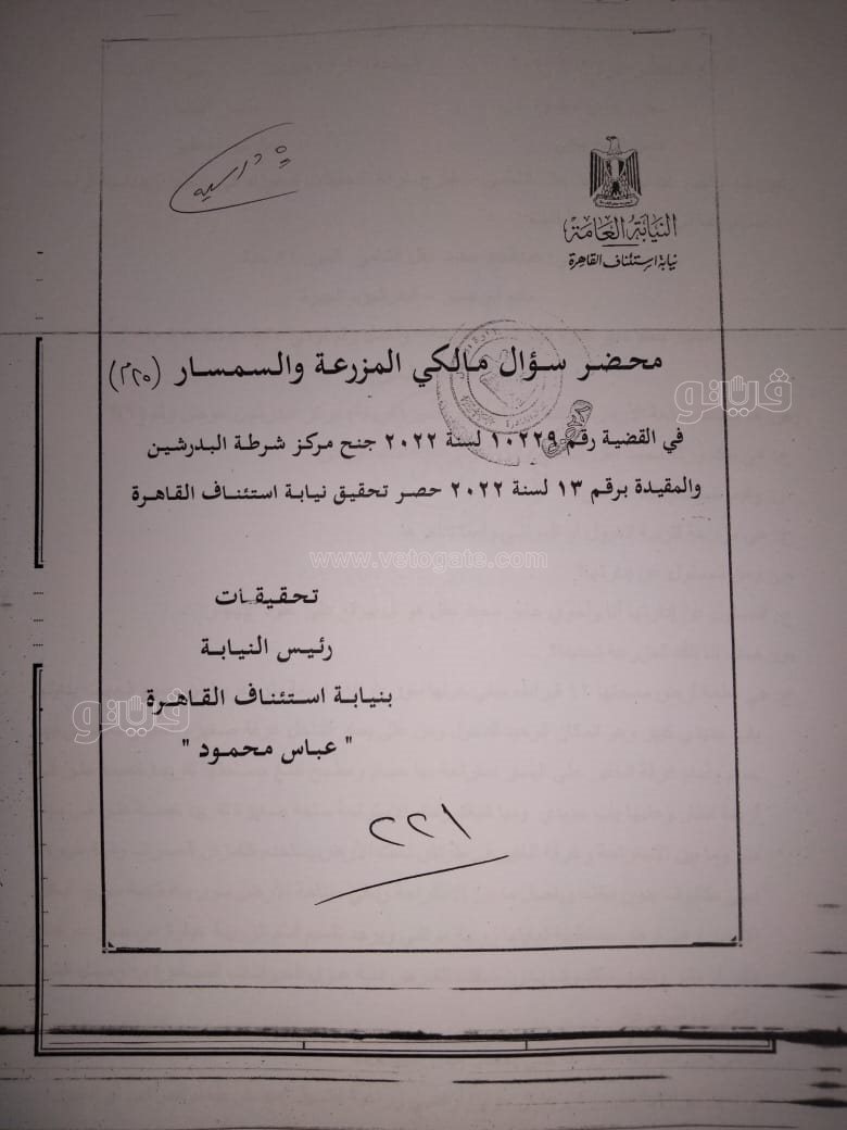 نص تحقيقات النيابة في قضية مقتل المذيعة شيماء جمال (98)
