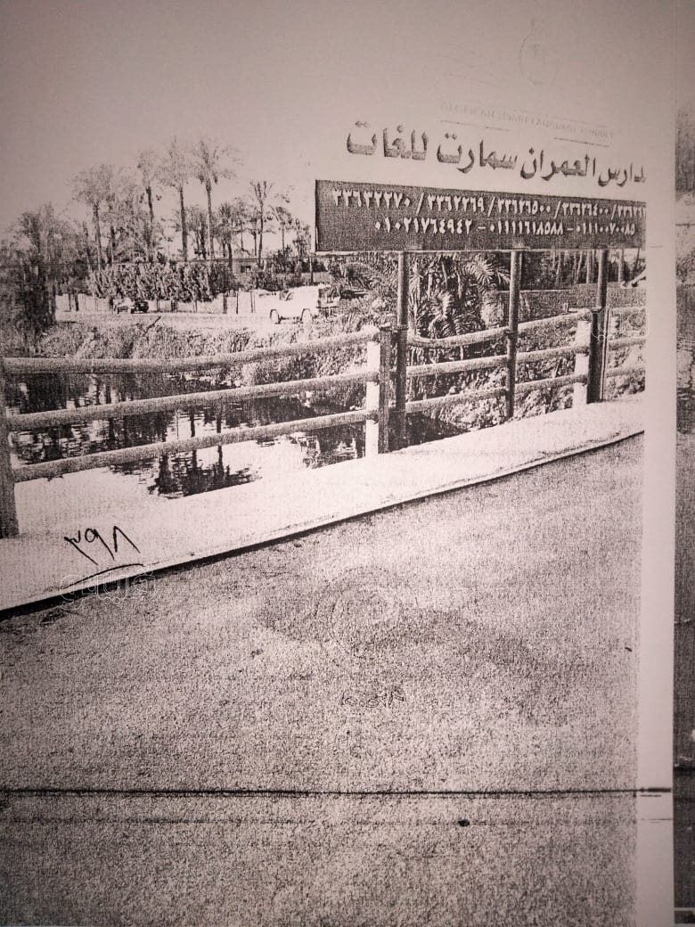 نص تحقيقات النيابة في قضية مقتل المذيعة شيماء جمال (119)