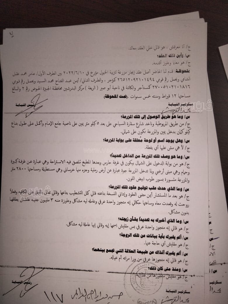 نص تحقيقات النيابة في قضية مقتل المذيعة شيماء جمال (221)