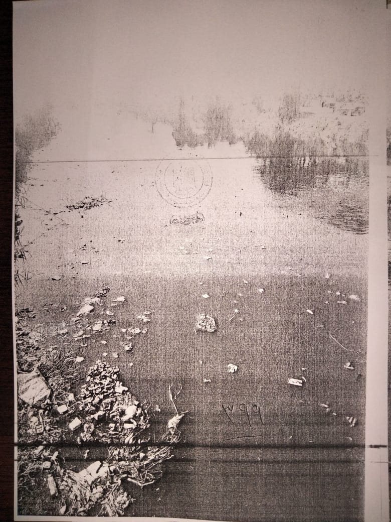 نص تحقيقات النيابة في قضية مقتل المذيعة شيماء جمال (236)