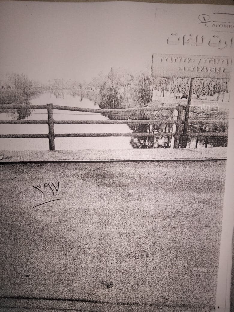 نص تحقيقات النيابة في قضية مقتل المذيعة شيماء جمال (255)