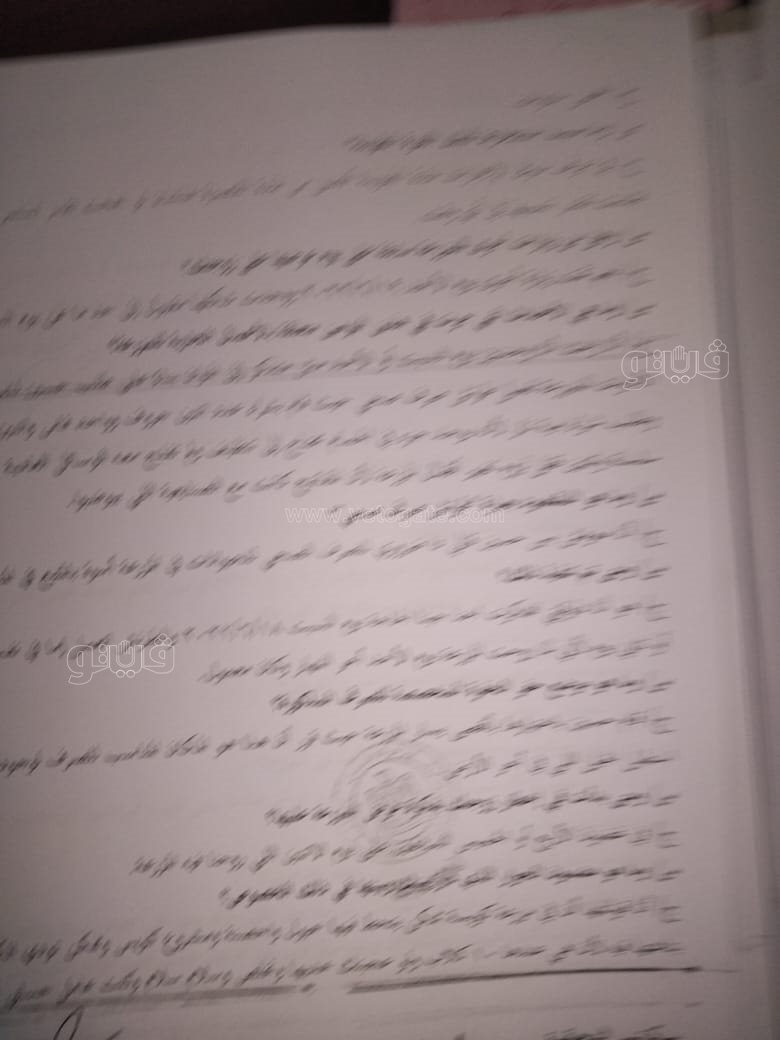 نص تحقيقات النيابة في قضية مقتل المذيعة شيماء جمال (282)