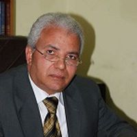 محمد يوسف العزيزي