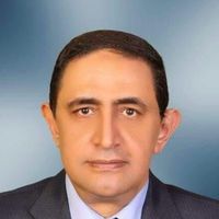 أ د / محمد بركه