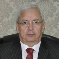 أ.د/ السيد احمد عبد الخالق