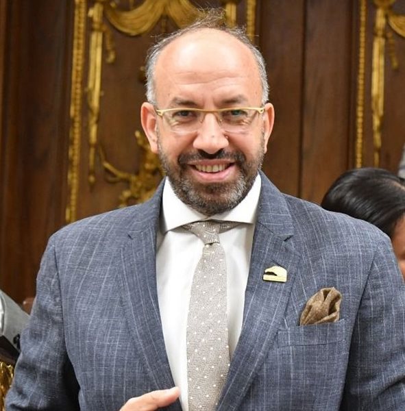 د/ حسام المندوه الحسيني