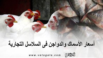 أسعار الأسماك والدواجن فى السلاسل التجارية