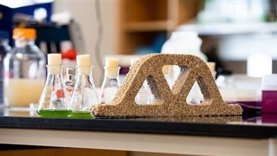 علماء يطورون إسمنتاً حياً يسمح للأبنية بترميم نفسها تلقائياً