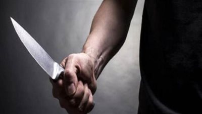 فلاح يقتل ربة منزل وجنينها لخلافات أسرية بأسيوط