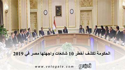 الحكومة تكشف أخطر 10 شائعات واجهتها مصر في 2019 | انفوجراف 