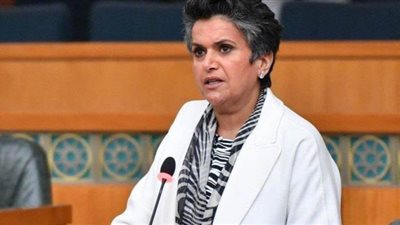 تأجيل دعوى إدراج صفاء الهاشم بقوائم الممنوعين من دخول مصر لـ١٨ أبريل