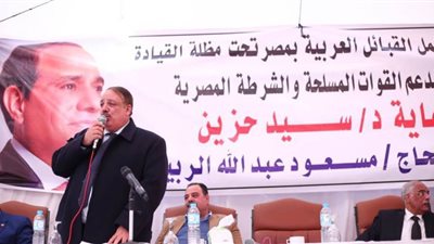 السعيطي : تطور السياسة الخارجية الحالية عزز من قيمة مصر في القضايا الدولية المختلفة