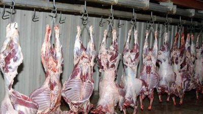 القصابين: استقرار أسعار اللحوم وتوقعات بارتفاع الطلب خلال الإجازات