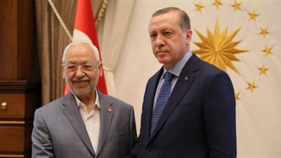 نائب تونسي: الغنوشي يريد توريط بلادنا في حرب أردوغان بليبيا