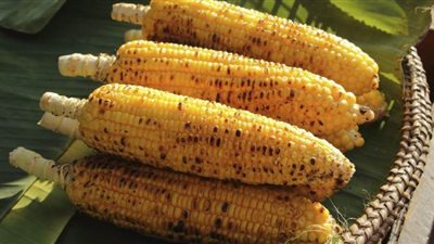 7 فوائد للذرة المشوي تجعلك تتناوله بانتظام