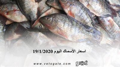 اسعار الأسماك اليوم 19 /1/ 2020