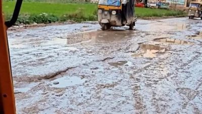 البكاتوشى سقطت من حسابات مسئولي محافظة الإسكندرية |صور