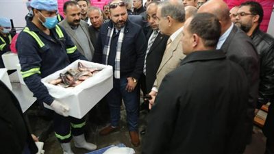 محافظ كفرالشيخ يتفقد مصانع بمنطقة مطوبس الصناعية