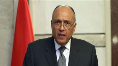 شكري يلتقي نائب رئيس المفوضية الأوروبية على هامش مؤتمر برلين