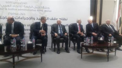 رئيس محكمة بليبيا: القضاء الإداري تدخل لحماية الانتخابات