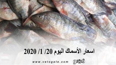اسعار الأسماك اليوم 20/ 1/ 2020