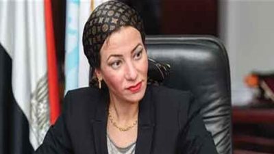 البيئة: التفتيش على 30 عائمة سياحية بأسوان واتخاذ إجراءات قانونية تجاه المخالفين