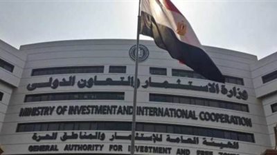 وزيرة التعاون الدولي: مشروع 