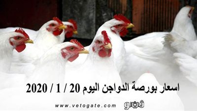 اسعار بورصة الدواجن اليوم 20 / 1 / 2020
