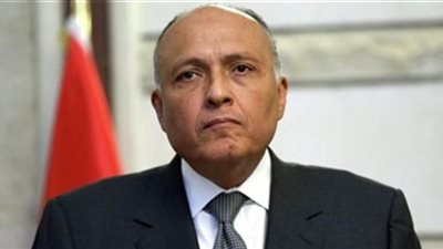 وزير الخارجية يصل مطار القاهرة قادما من الجزائر