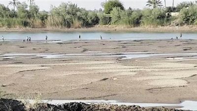 انخفاض شديد في منسوب مياه النيل يهدد الزراعة.. حقيقة أم شائعة؟