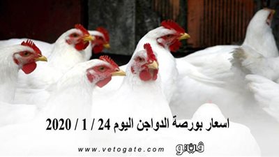 اسعار بورصة الدواجن اليوم 24 / 1 / 2020