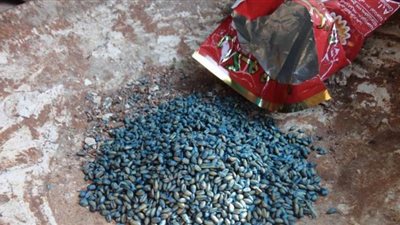 تسمم ربة منزل ببني سويف.. وضعت سم فئران بدلاً من التوابل في الطعام