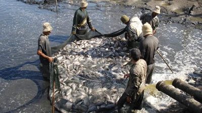 الزراعة وصيد الأسماك تتصدر أكبر نسبة مشاركة للمشتغلين خلال الربع الأول لـ 2020