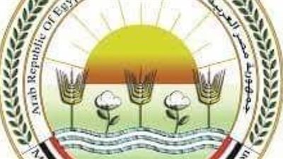 ارتفاع صادرات مصر الزراعية لأكثر من 3 ملايين طن