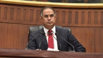 سليمان وهدان يطالب بحل مشكلة إلغاء تراخيص بعض الحصص الاستيرادية لتجار بورسعيد