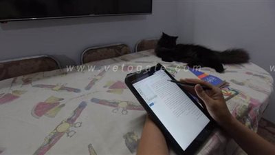 دخول 46 ألف طالب في الدقهلية على منصة الاختبار الإلكتروني لامتحاني الكيمياء والجغرافيا