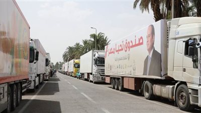 توزيع 38 ألف كرتونة مواد غذائية من صندوق تحيا مصر في قنا