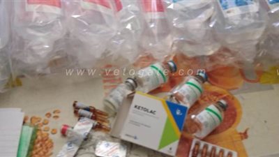 ضبط 5114 صنفا من المستلزمات الطبية والأدوية المهربة في الدقهلية