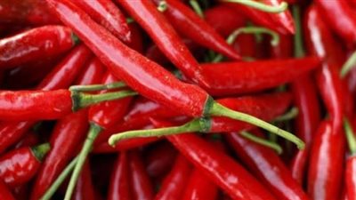 خبيرة تغذية: الفلفل الحار يعالج البواسير والرشح