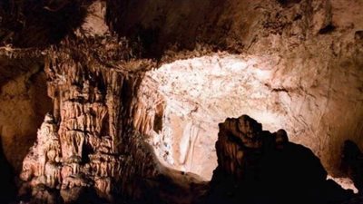 اكتشاف عالم مفقود ونظام بيئي منقرض في جنوب إفريقيا