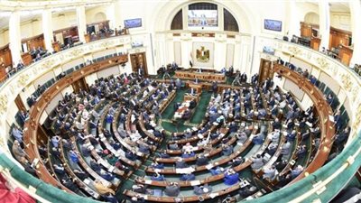 البرلمان يكشف الأرقام الوهمية في موازنة الحكومة.. ٢٠٠ مليون جنيه لعلاج الملاريا.. ١١٠ ملايين للبلهارسيا.. و٢٠ مليون لصيانة سيارات 