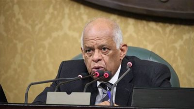 عبد العال: لا يجوز أن تدفع وزارة المالية أموالا للشركات الخاسرة