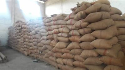 توريد 174 ألف طن قمح لشون وصوامع الدقهلية