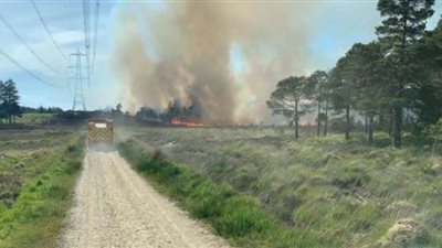 في ظل كورونا.. حرائق الغابات تضرب بريطانيا | صور