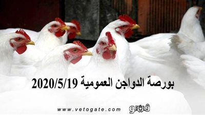 اسعار الفراخ.. بورصة الدواجن العمومية 2020/5/19