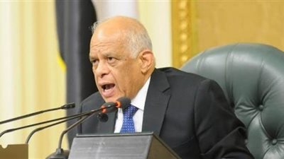 علي عبد العال يطالب الحكومة بتقديم دعم أكبر للفلاح