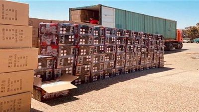 ضبط 3 حاويات بداخلها 713 ألف قطعة أدوات منزلية للتهرب من سداد 15 مليون جنيه رسوم
