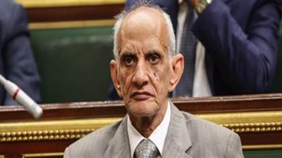 برلمانى يستعجل الحكومة في تنفيذ التوصيات الخاصة بأهالى نجع حمادى